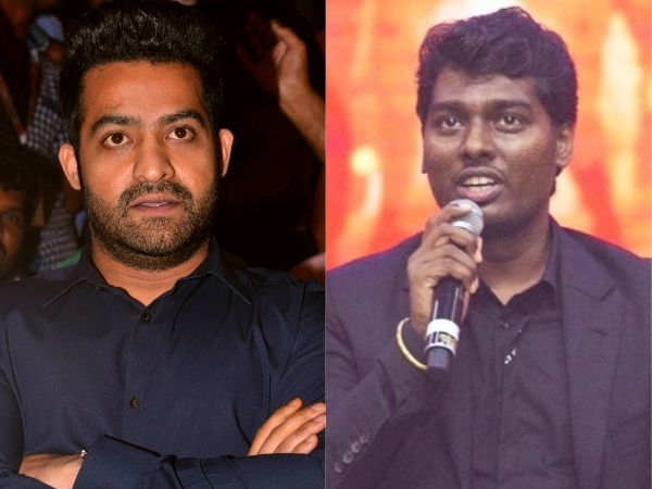 ఎన్టీఆర్ అంటే ఇష్టం..