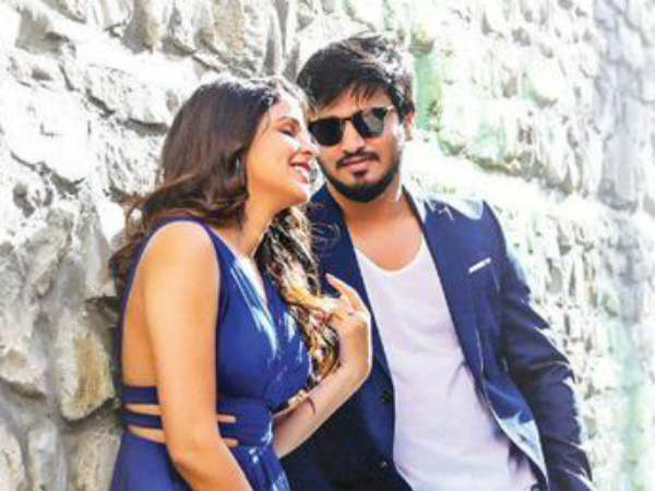 దర్శకుడి పనితీరు