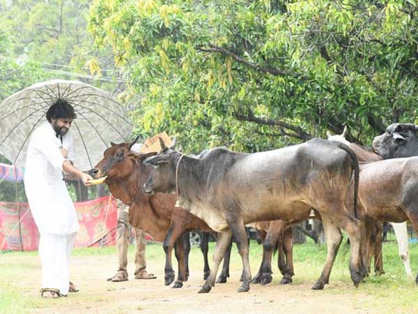 రాజకీయాలతో పాటు అవి కూడా..