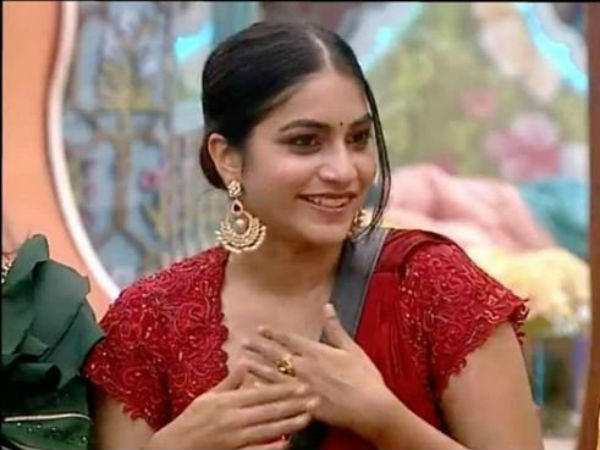 పునర్నవి సినీ జర్నీ