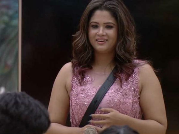 వైల్డ్ కార్డ్ ఎంట్రీలు కూడా లీకులమయమే..