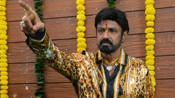 బాలయ్య సినిమాలో అవకాశం