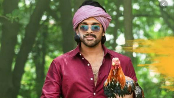 దూకుడుగా బన్నీ.. సరికొత్త రికార్డ్స్