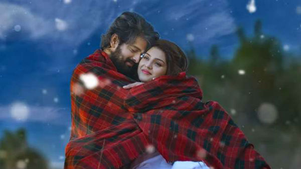 మెహ్రీన్, ఇతర పాత్రల్లో
