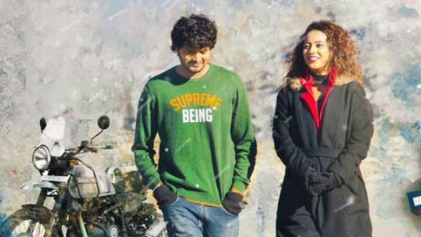 దర్శకుడి పనితీరు..