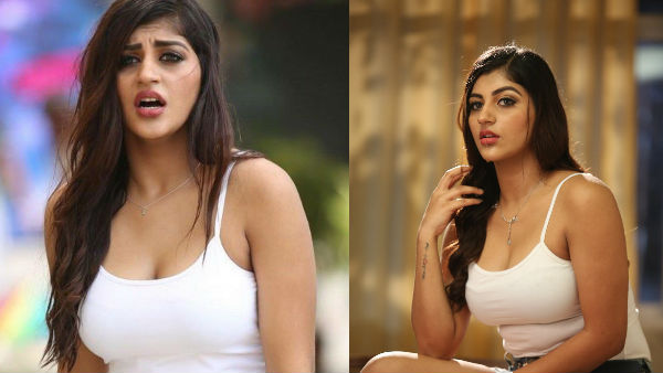 బిగ్బాస్లో అఫైర్ వార్తలతో