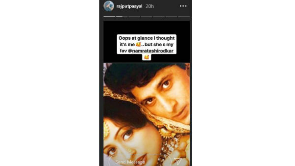 Payal Rajput Compares Her With Namrata Shirodkar Payal Rajput Compares Her With Namrata Shirodkar