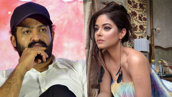 ఒక్కరాత్రికి రేటెంత? నిన్నుచంపుతాం.. ఎన్టీఆర్ ఫ్యాన్స్పై పోలీసులకు మీరా చోప్రా ఫిర్యాదు
