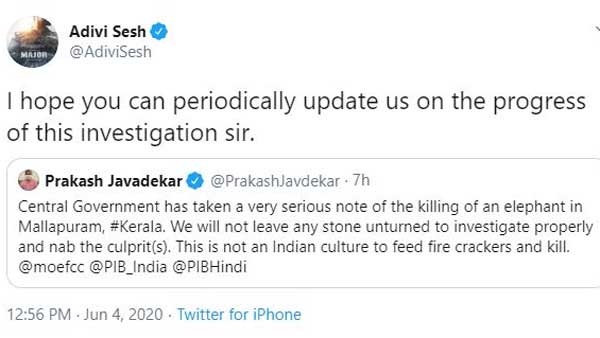Adivi sesh Comments On Prakash Javadekar tweet On Elephant Death Adivi sesh Comments On Prakash Javadekar tweet On Elephant Death