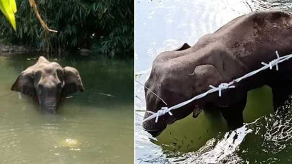 టపాసులతో పేల్చేశారు..