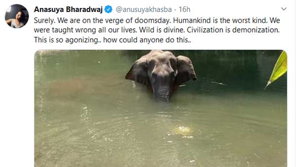 అనసూయ ఆగ్రహం..