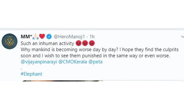 ఎంతటి క్రూరమైన చర్య..