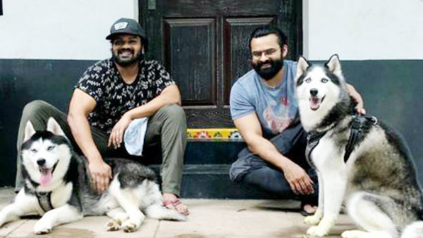 పెంపుడు కుక్కల పెళ్లి..