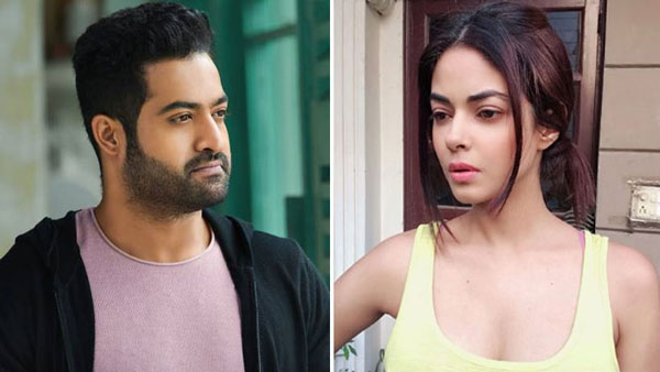 వివాదం అలా మొదలైంది..