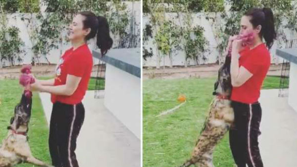 Preity Zinta pushups video with her pet dog goes viral Preity Zinta pushups video with her pet dog goes viral