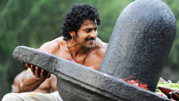 ప్రత్యేక ఆదరణ..