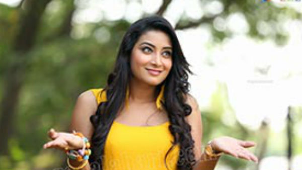 బుల్లితెరపై..