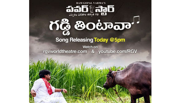 RGV Gaddi thintaava Song From POWERSTAR Movie RGV Gaddi thintaava Song From POWERSTAR Movie