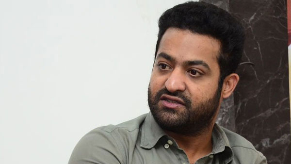 జూ.ఎన్టీఆర్ పాలిటిక్స్ పై కామెంట్స్