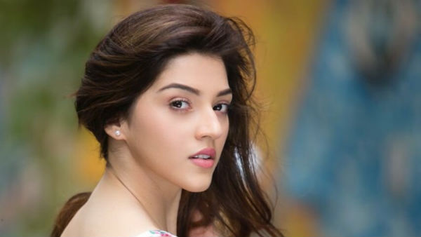Mehreen career in Tollywood hits a road block, Back to back flops ruins Mehreen career in Tollywood hits a road block, Back to back flops ruins