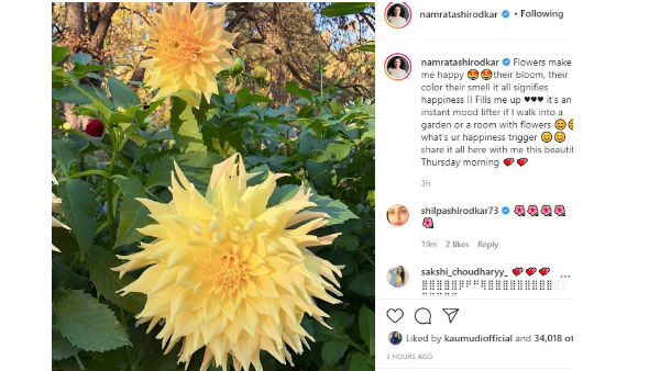 Namrata shirodkar About Flowers And Her Garden Namrata shirodkar About Flowers And Her Garden