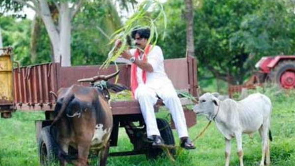 ఫైనల్