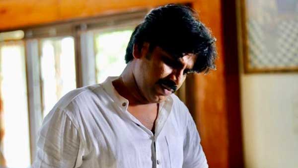 గట్టిగానే ఉపయోగించుకున్నాడు
