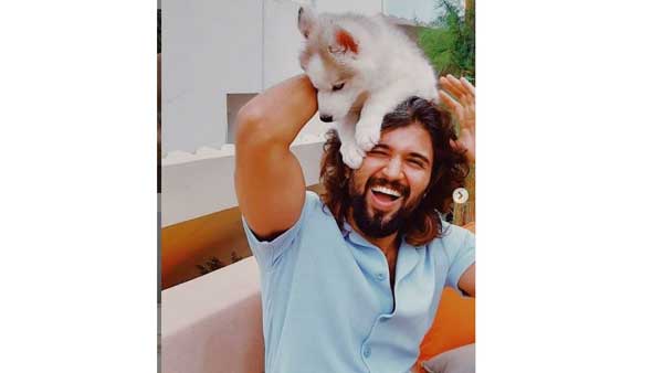 క్యూట్ ఫ్రెండ్తో అర్ధనగ్నంగా విజయ్ దేవరకొండ.. ముద్దుగా ప్రేమను పంచుతూ.. ఫోటో వైరల్