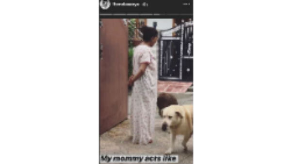 Lavanya Tripathi Mother Is A Pet Lover Lavanya Tripathi Mother Is A Pet Lover