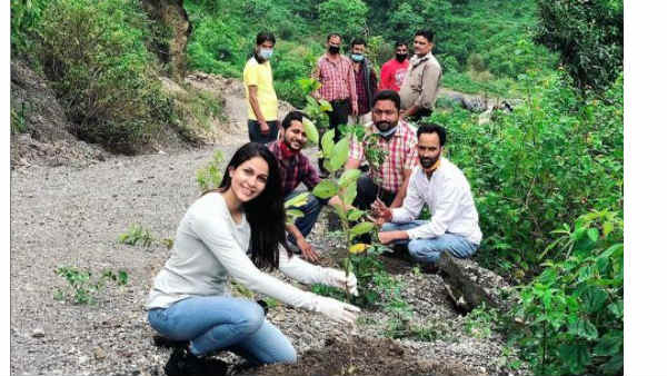 Lavanya Tripathi Accepts Green India Challenge Lavanya Tripathi Accepts Green India Challenge