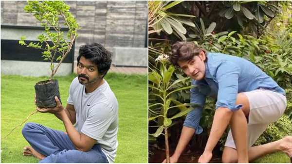 మహేష్ బాబు ఛాలెంజ్ను స్వీకరించిన విజయ్