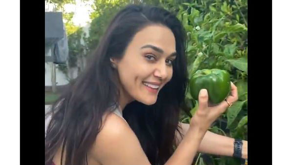ఇంటికి సరిపడా కూరగాయలు