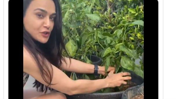 అమ్మ స్ఫూర్తితో ఇంటి పంట