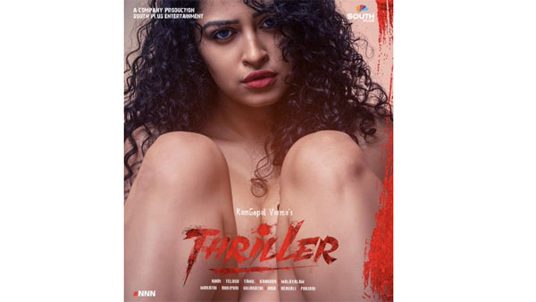 థ్రిల్లర్ కథ ఏమిటంటే..