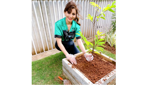 Urvashi Rautela Accepts Green India Challenge Urvashi Rautela Accepts Green India Challenge