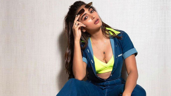Pooja Eyes Sankranthi Race yet again Pooja Eyes Sankranthi Race yet again