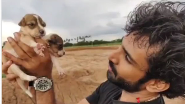 Pet lover Aadhi Pinisetty on dog rescue operation Pet lover Aadhi Pinisetty on dog rescue operation