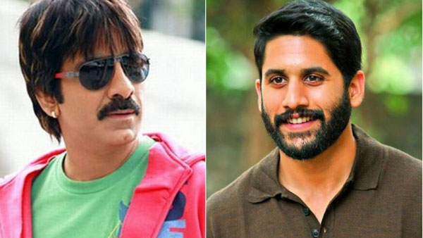 Nagachaitanya, Raviteja movies to release on Sankranthi Nagachaitanya, Raviteja movies to release on Sankranthi