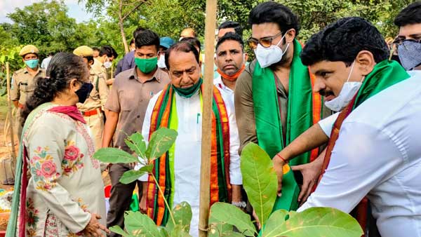 ఎంపీ జోగినపల్లి సంతోష్ కుమార్ చేతుల మీదుగా