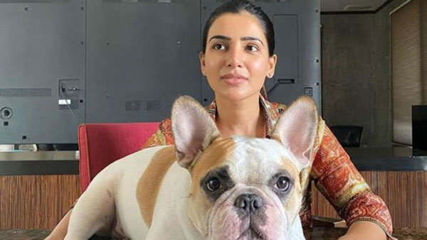 జంటగా ఆడుకుంటారు..