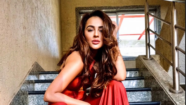 Seerat kapoor another movie with mass maharaja ravi teja Seerat kapoor another movie with mass maharaja ravi teja