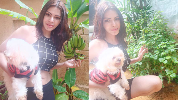 Sherlyn Chopra started organic farming, says loving kitchen Garden Sherlyn Chopra started organic farming, says loving kitchen Garden