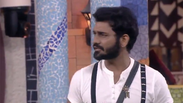 ఎనిమిదో వారంలో నామినేషన్ల ప్రక్రియ