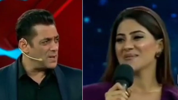 సల్మాన్ను బుట్టలో వేసుకొనేందుకు