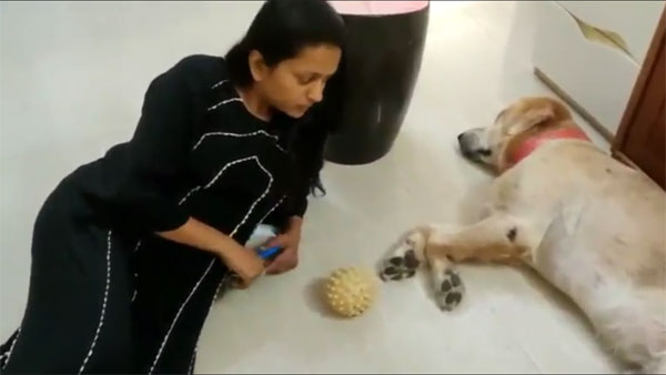 లాక్ డౌన్తో అలా..