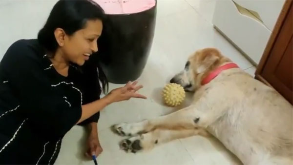 జోరోను భయపెట్టింది..