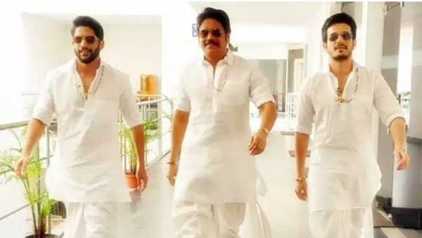 New rumours viral on akkineni family another multi starrer New rumours viral on akkineni family another multi starrer