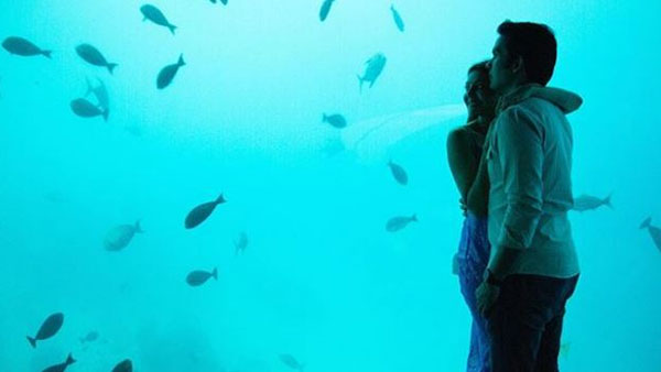 నాకు నీలరంగు అంటే ఇష్టం..