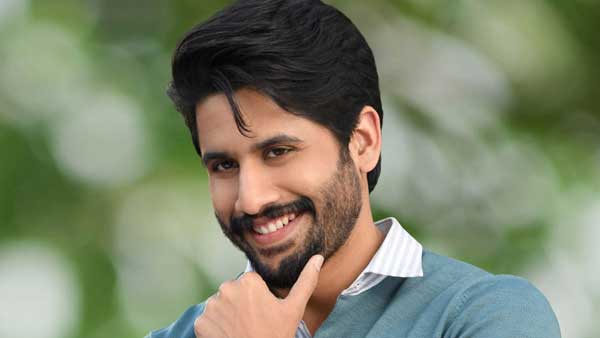 సినిమాల్లోకి ఎంట్రీ అలా జరిగింది