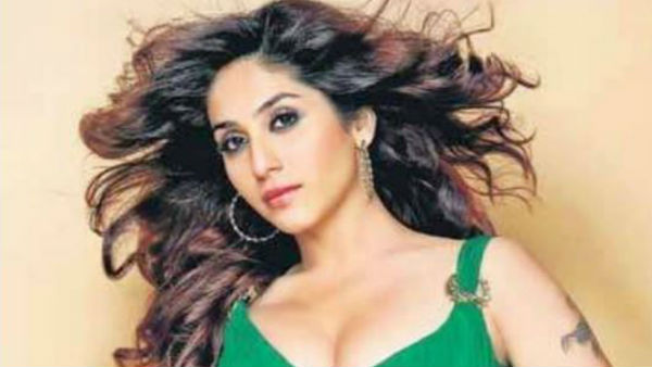 టాలీవుడ్లో నేహా భాసిన్ కెరీర్